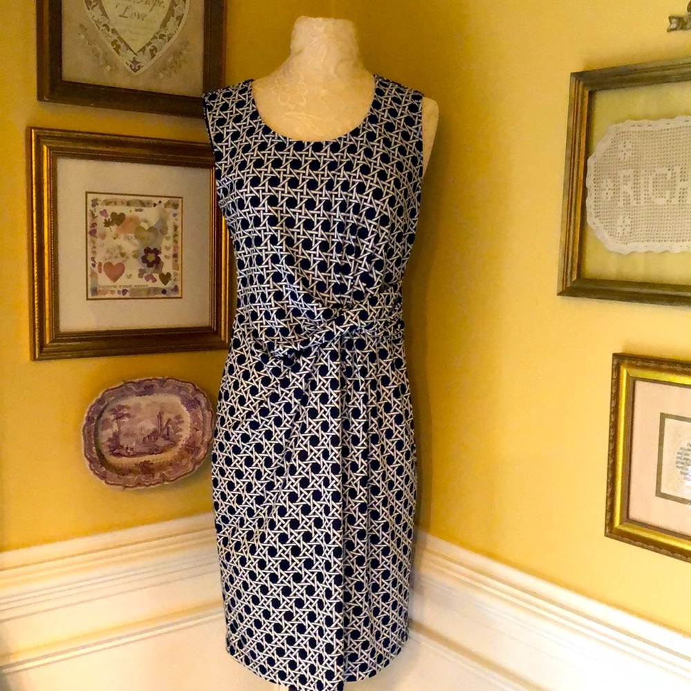 The Limited Dress